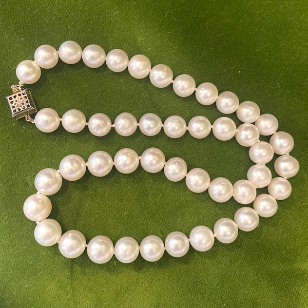 Freshwater Pearl Necklace